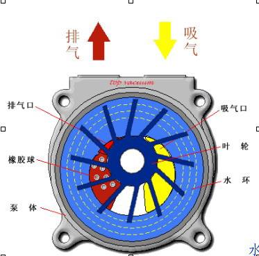 莱诺给你介绍水环真空泵的工作原理