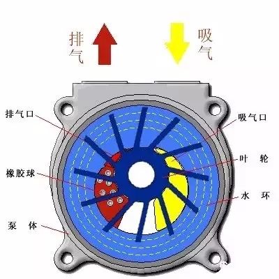 水环式真空泵基础知识