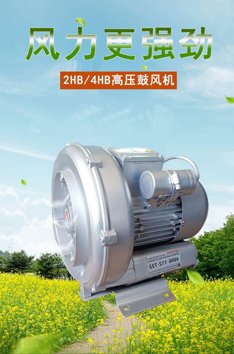 高压鼓风机出现噪音和温度偏高的原因